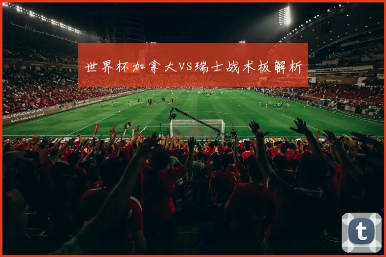 世界杯加拿大vs瑞士战术板解析
