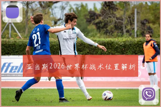 亚当斯2026世界杯战术位置解析