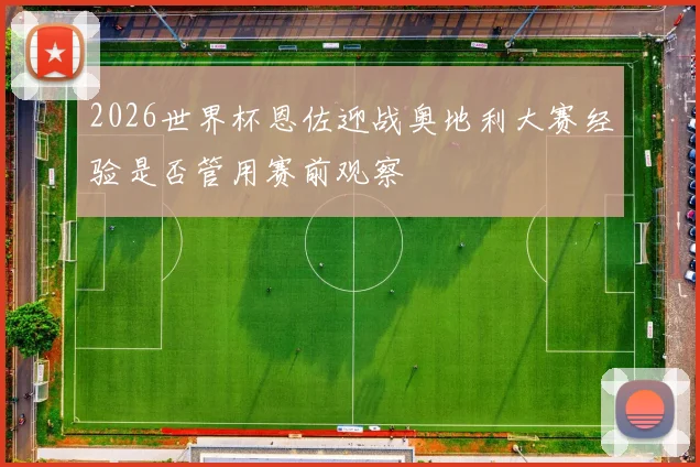 2026世界杯恩佐迎战奥地利大赛经验是否管用赛前观察