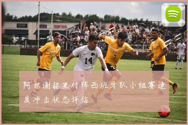 阿尔谢赫里对阵西班牙队小组赛速度冲击状态评估